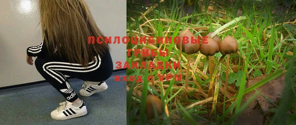 меф Армянск